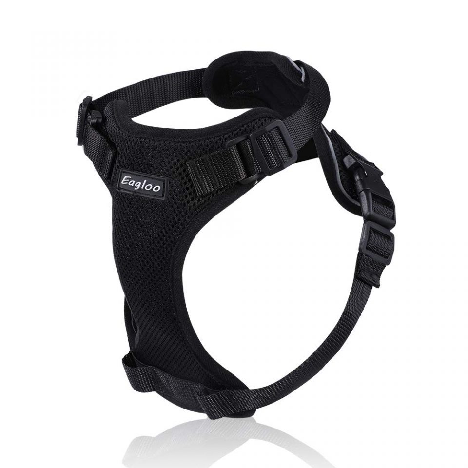 Best Cat Harnesses Of Reviews Buying Guide Catnipsum