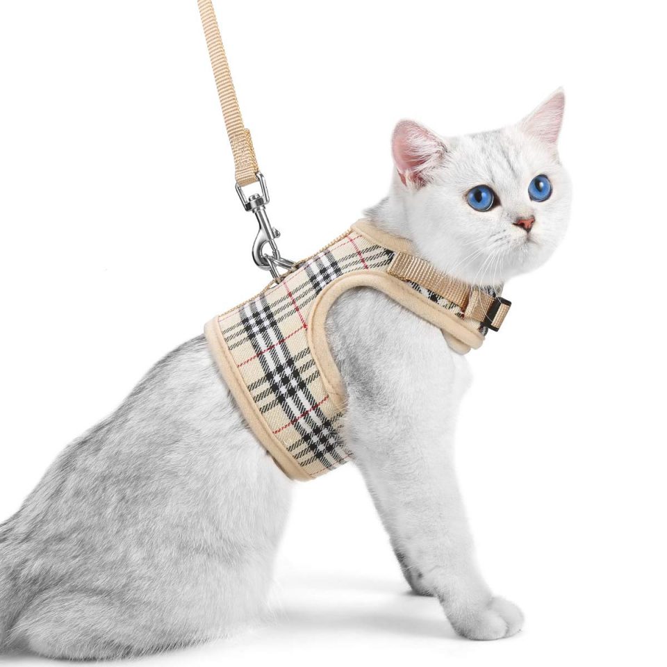 Best Cat Harnesses Of 2020 Reviews Buying Guide Catnipsum