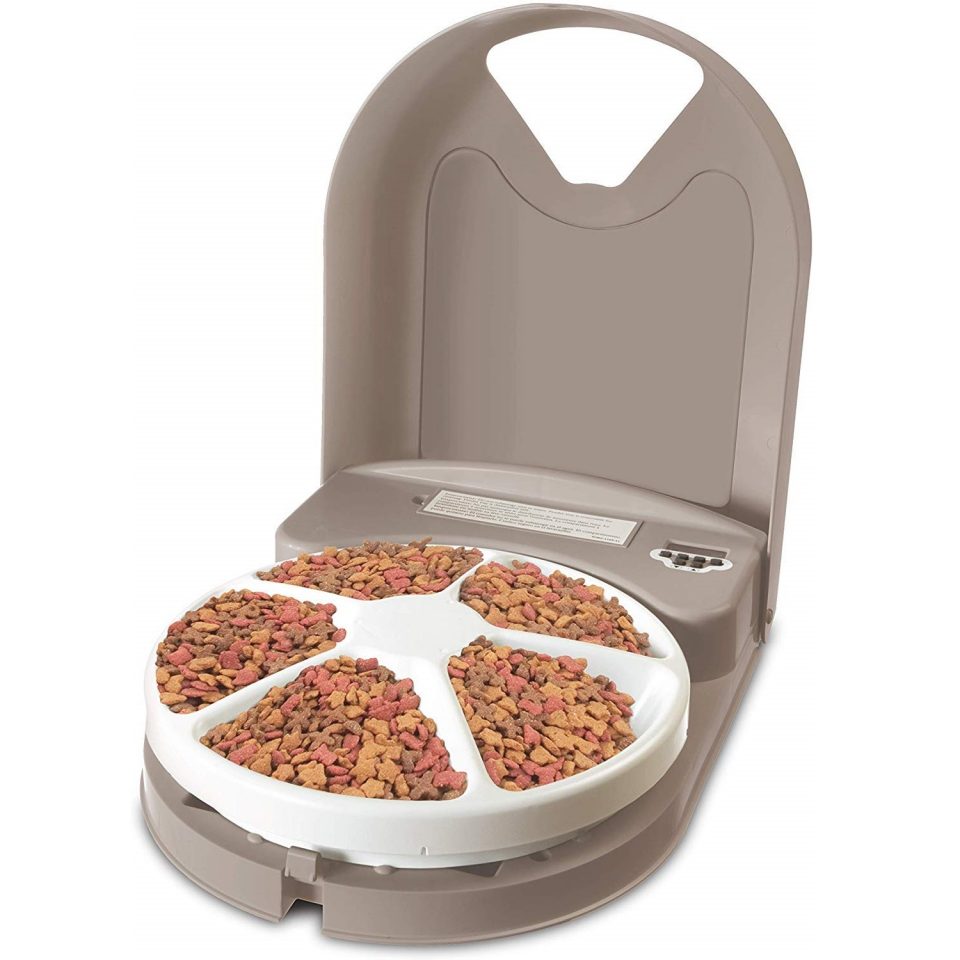 auto cat feeder for two xats