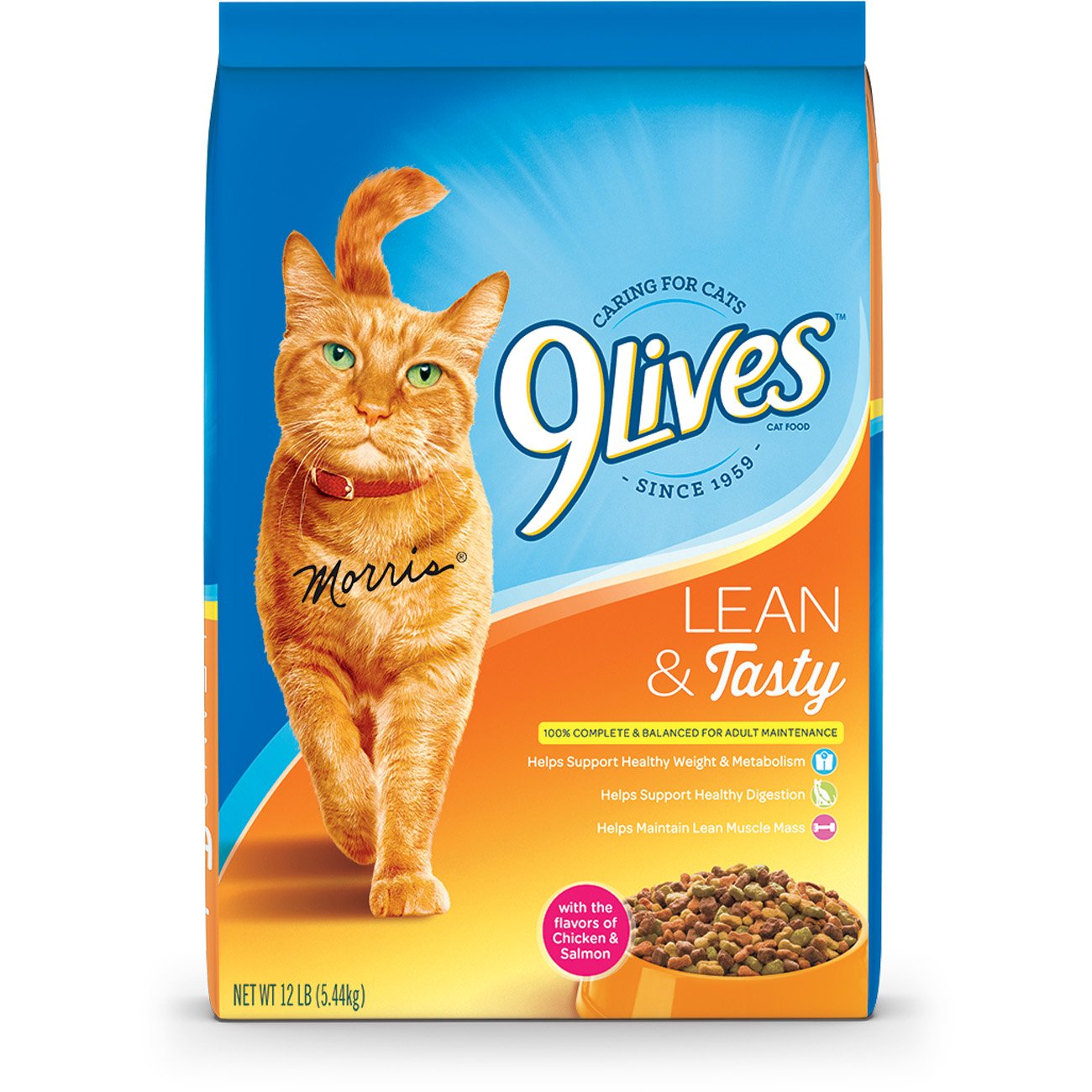 Best Cat Food For Weight Loss 2020 Reviews & Buying Guide