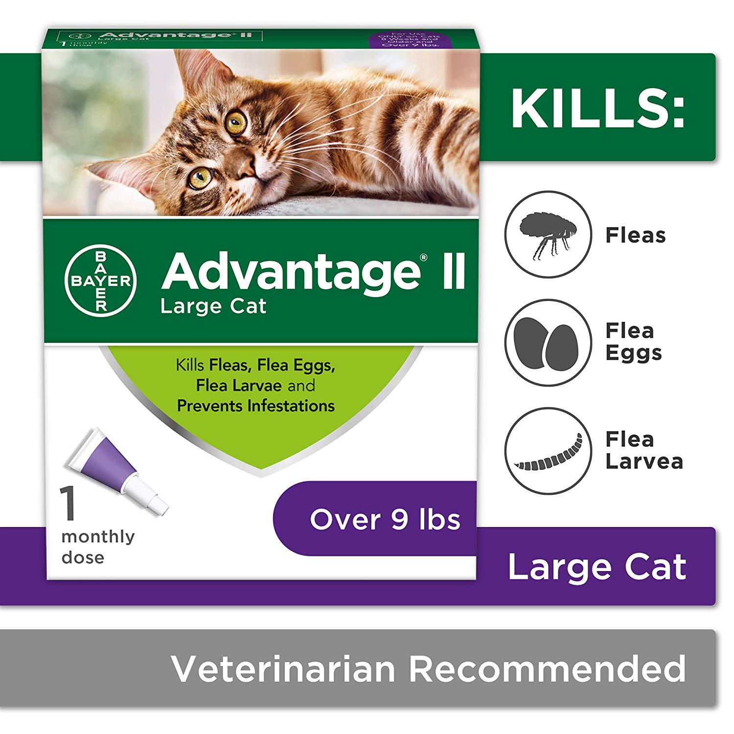 Best Flea Treatment For Cats of 2020 Reviews & Buying Guide