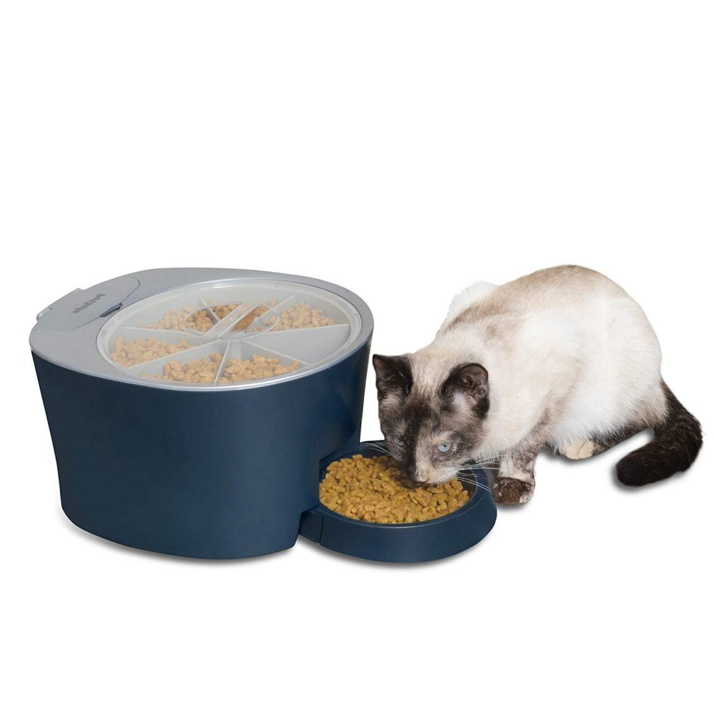 Best Automatic Cat Feeders of 2020 Reviews & Buying Guide