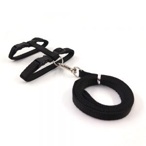 Cat Harness with Adjustable Nylon Halter and Leash By XPangle
