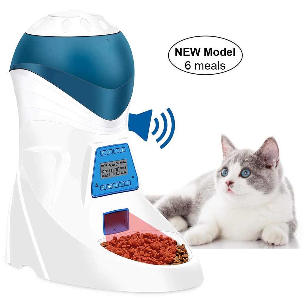 Best Automatic Cat Feeders of 2020 Reviews & Buying Guide