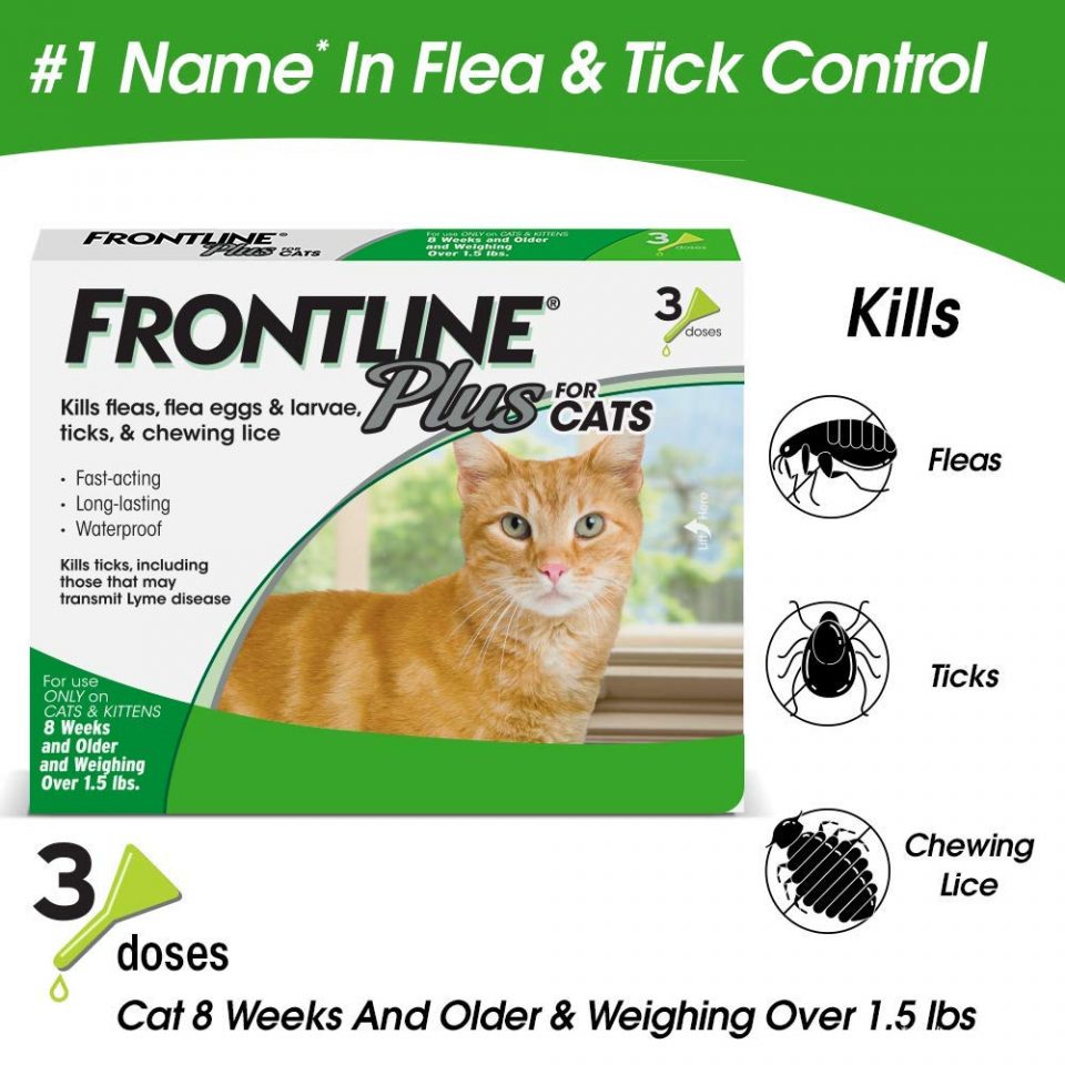 Best Flea Treatment For Cats of 2020 Reviews & Buying Guide