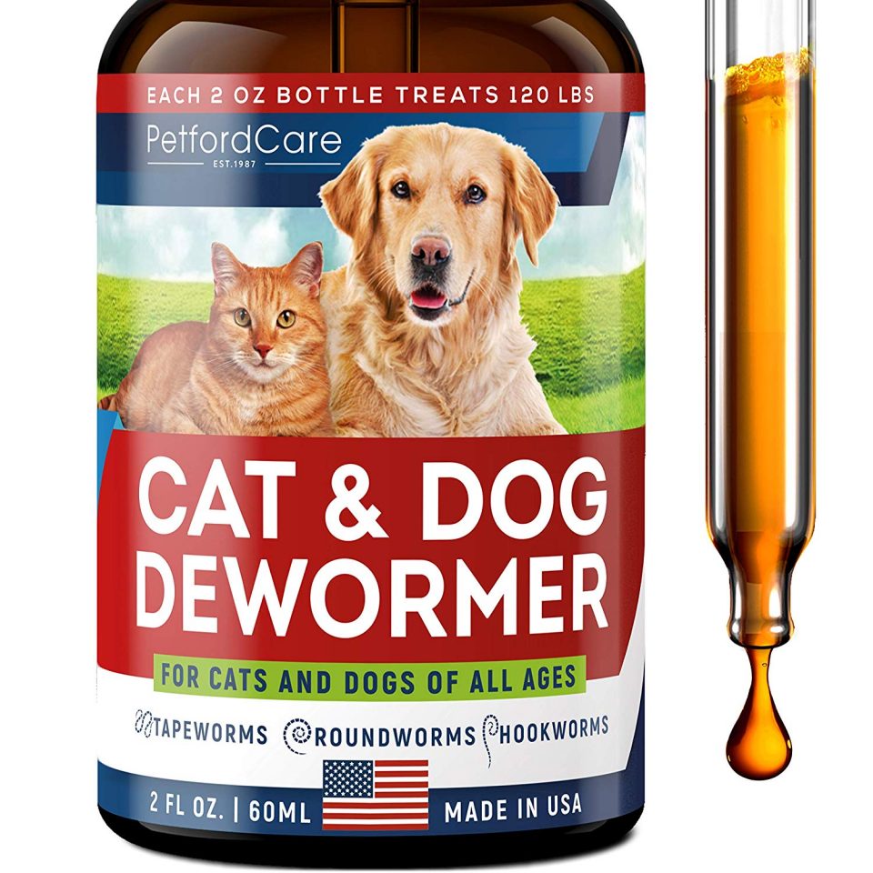 Best Cat Dewormers of 2020 Reviews & Buying Guide
