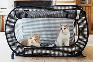 Necoichi’s Portable Cat Cage For Travel