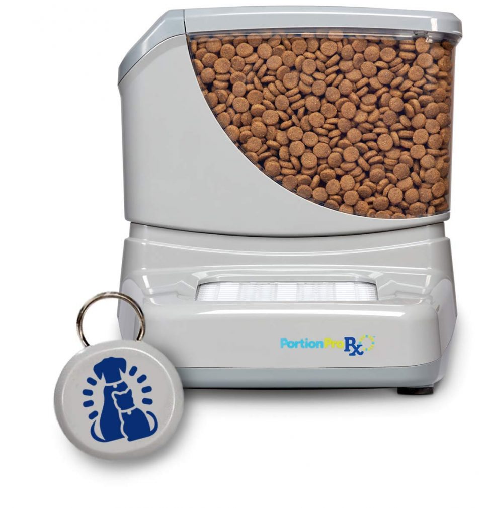 best automatic cat feeder buying guide