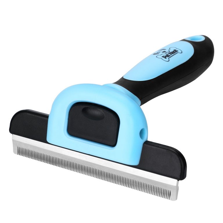 Best Brush for Cats in 2020 Reviews & Buying Guide Catnipsum