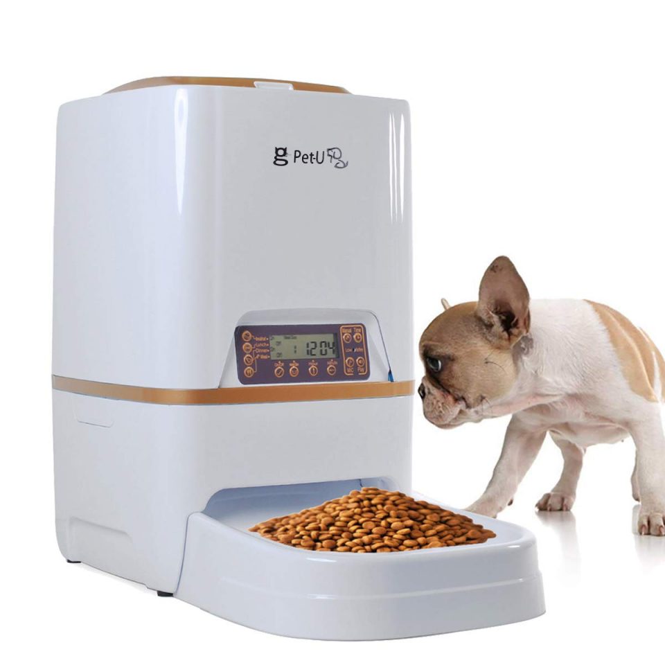 Best Automatic Cat Feeders of 2020 - Reviews & Buying Guide