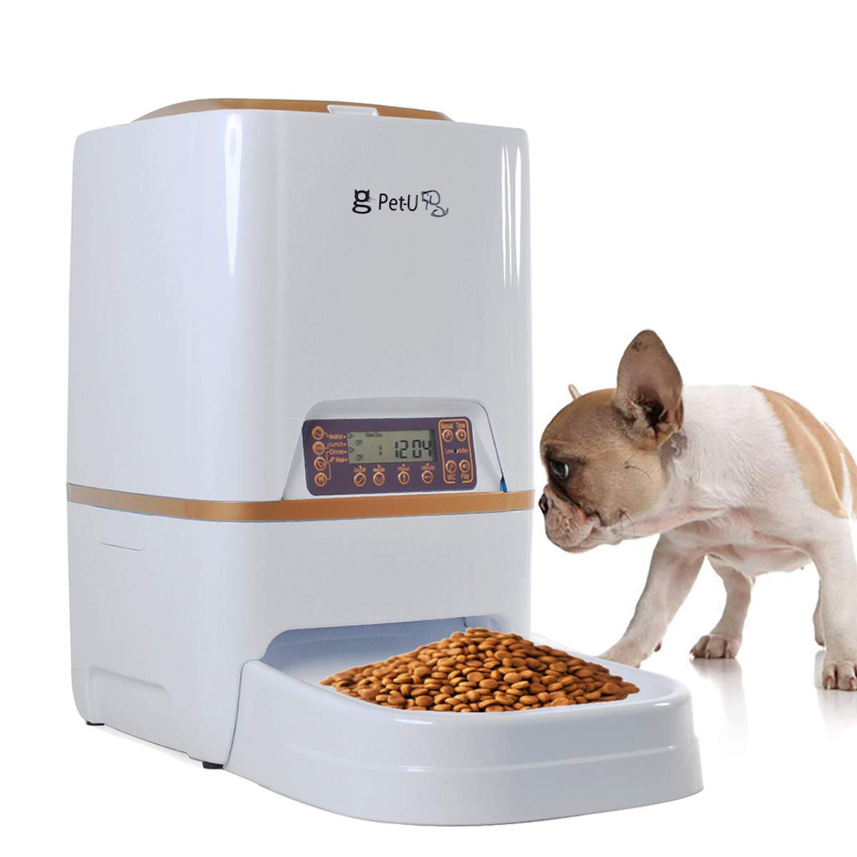best cat automatic feeder