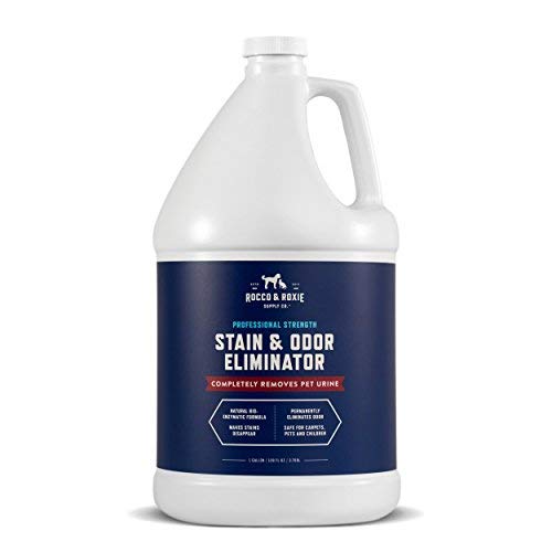 Best Enzyme Cleaner For Cat Urine of 2020 Reviews & Buying Guide