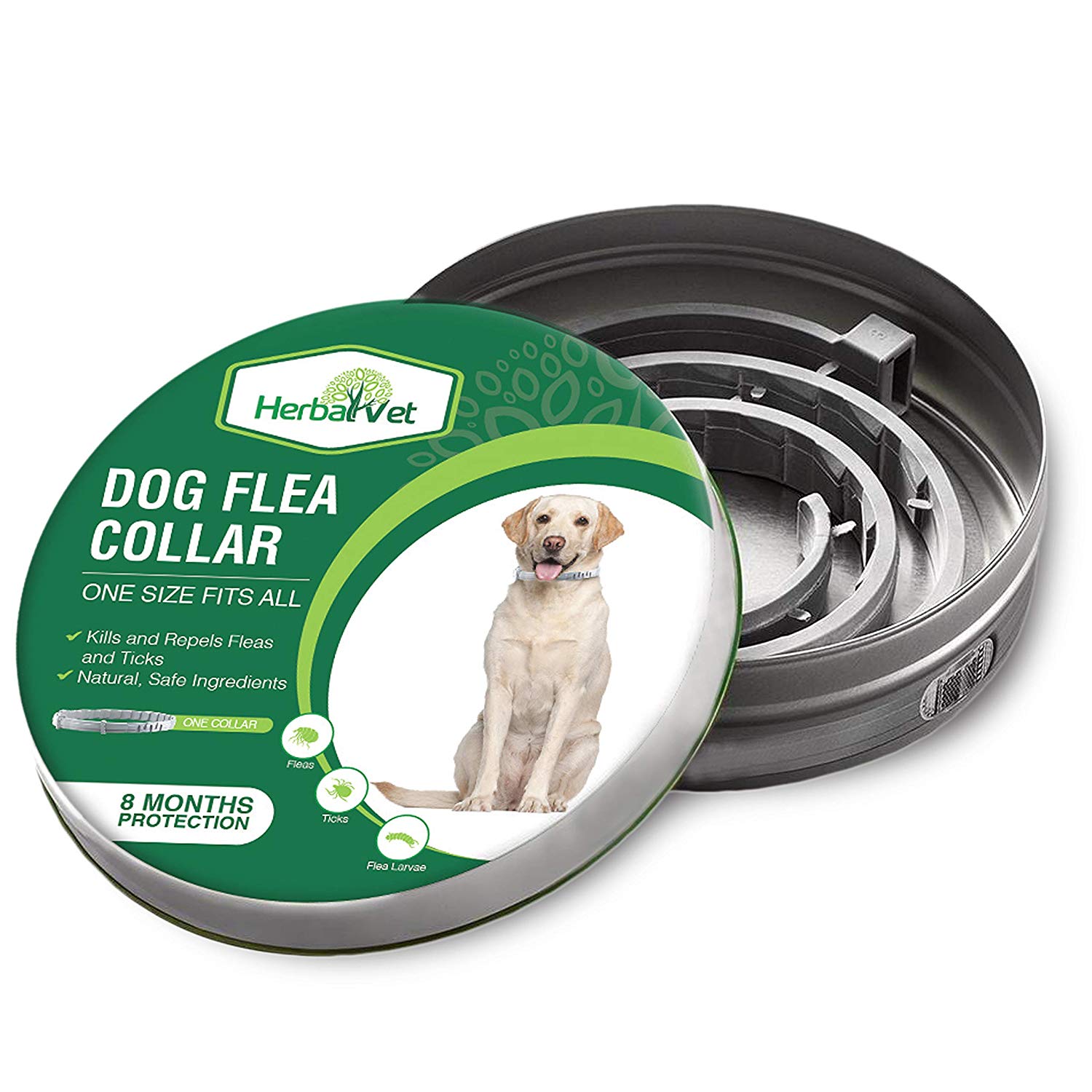 Best Flea Collars For Cats 2020 Reviews & Buying Guide