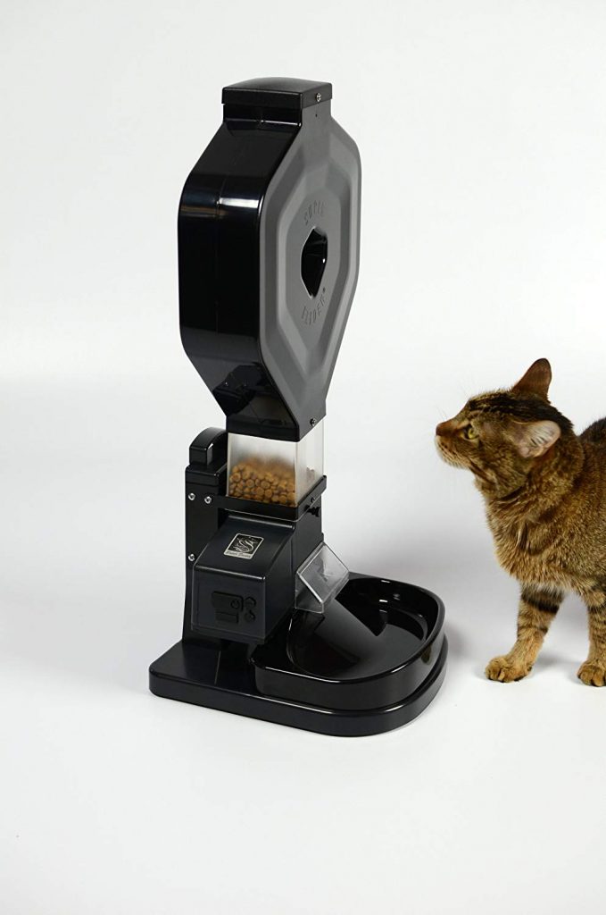 best automatic feeder for multiple cats