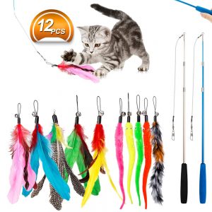 The Multi-Colored Feather Toy By Jiaron