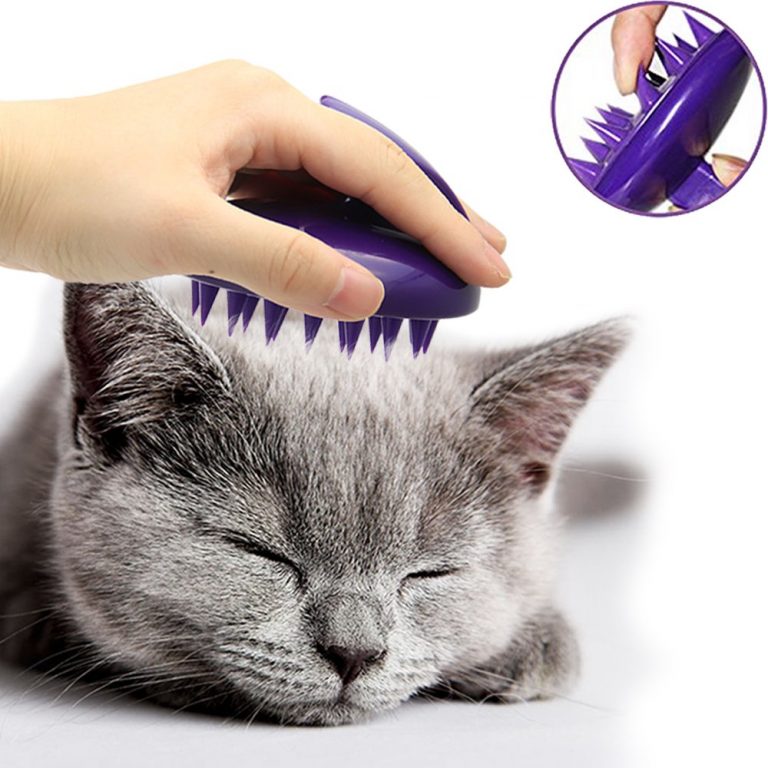 Best Brush for Cats in 2020 - Reviews & Buying Guide | Catnipsum