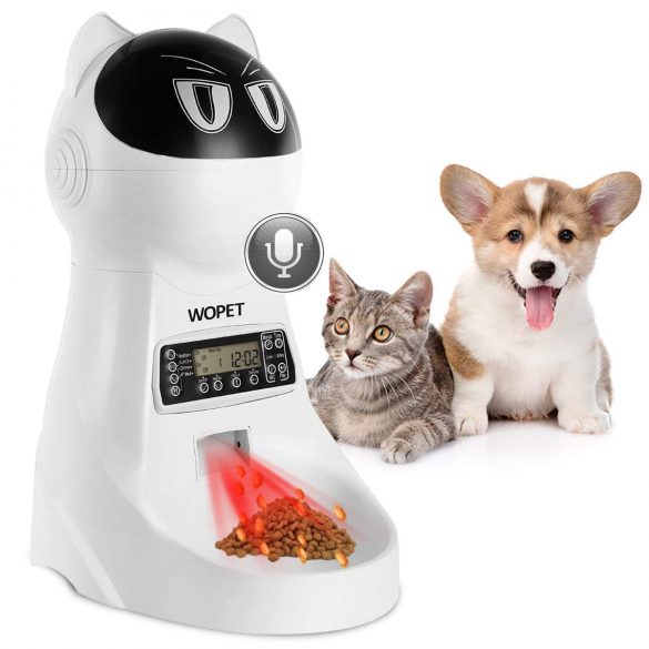 best automatic cat feeder 2019